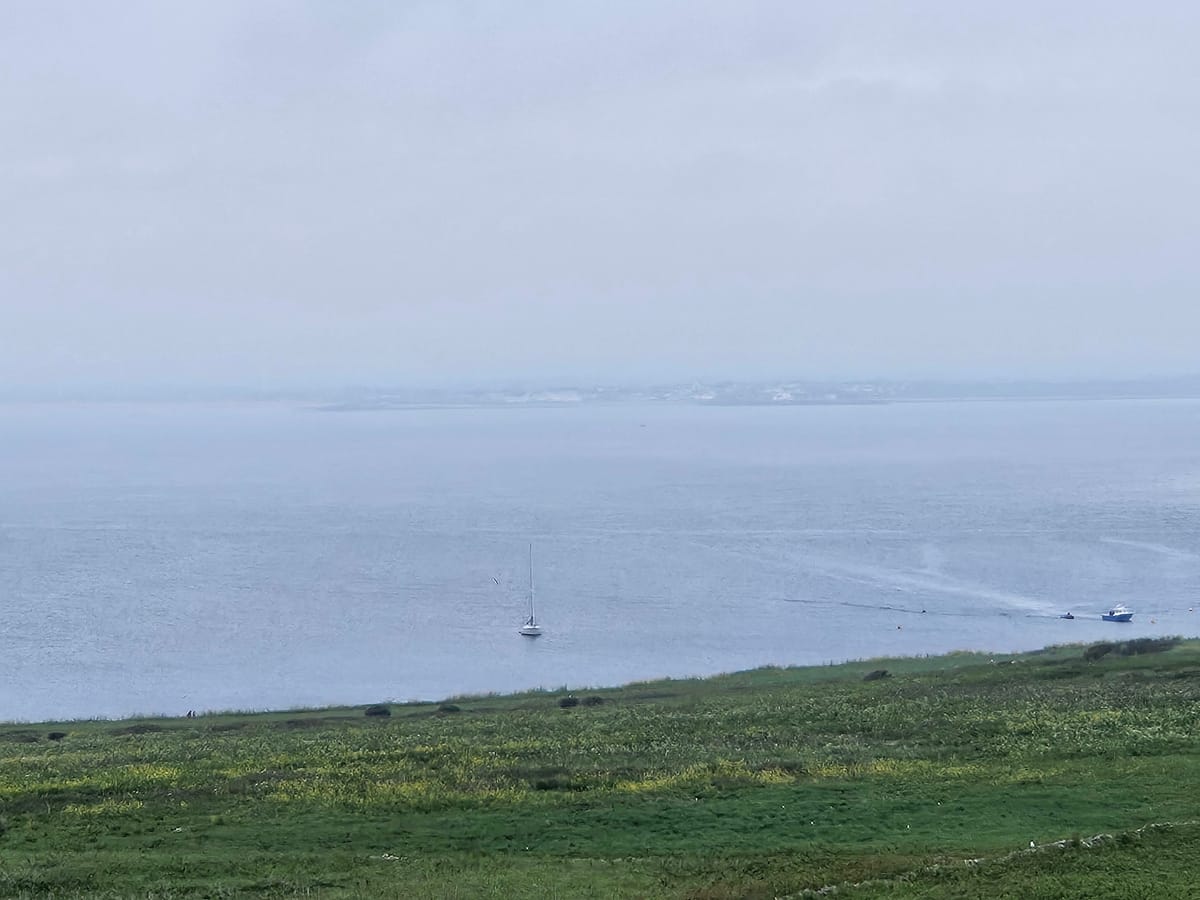Update to satellite tracking and puffins.