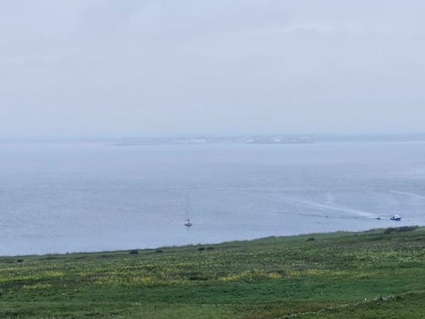 Update to satellite tracking and puffins.